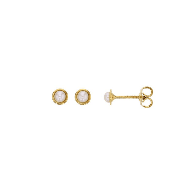 Boucles d&#039;oreilles Puce